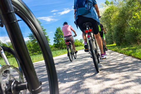 backs of people biking