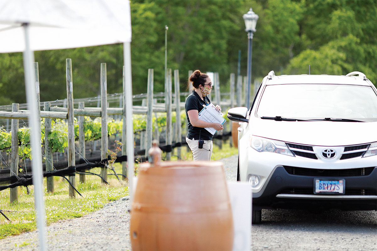 woman at vineyard checking in a car