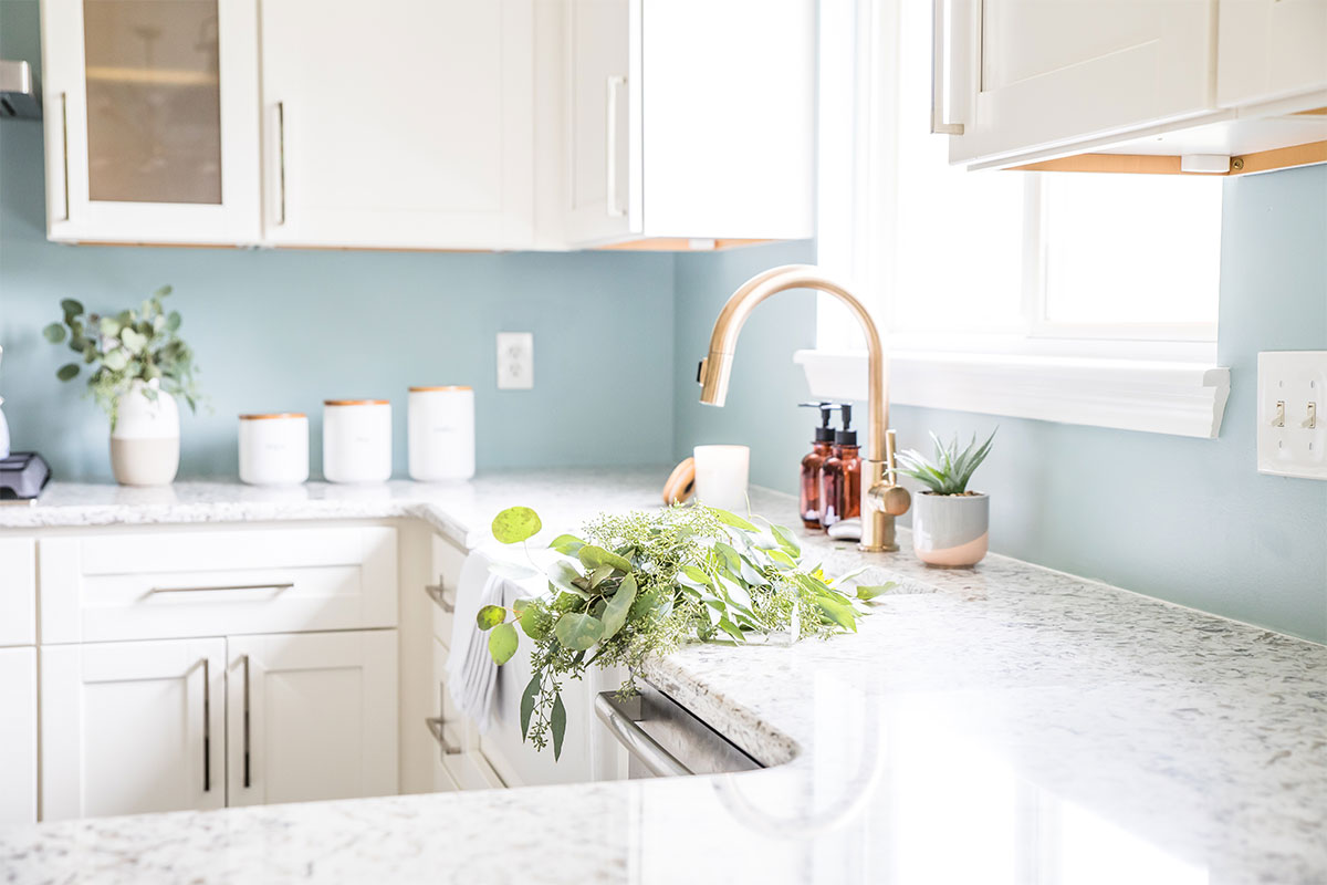 a white kitchen with plant near sink