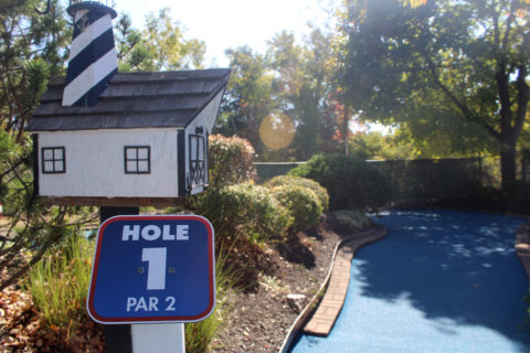 mini golf course with blue floor