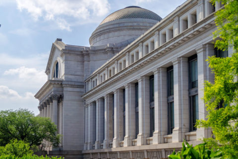national museum of natural history side view