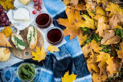 fall picnic spread