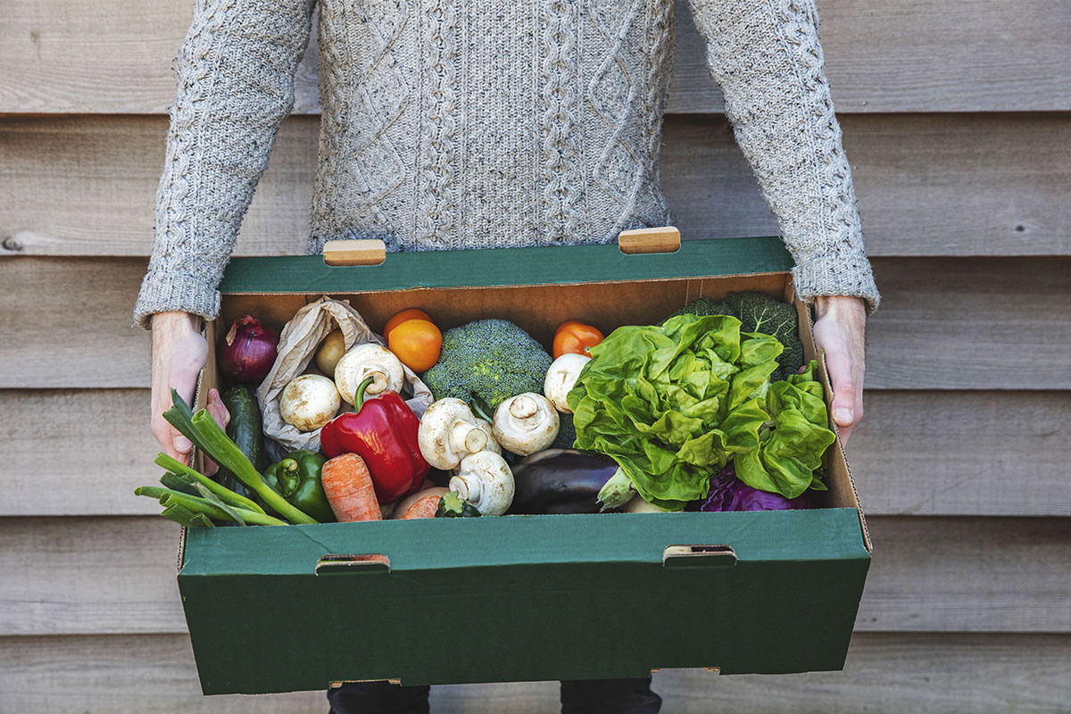 woman holding a produce box with vegetables