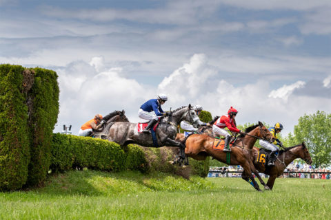 steeple chase racing horses jumping over fence
