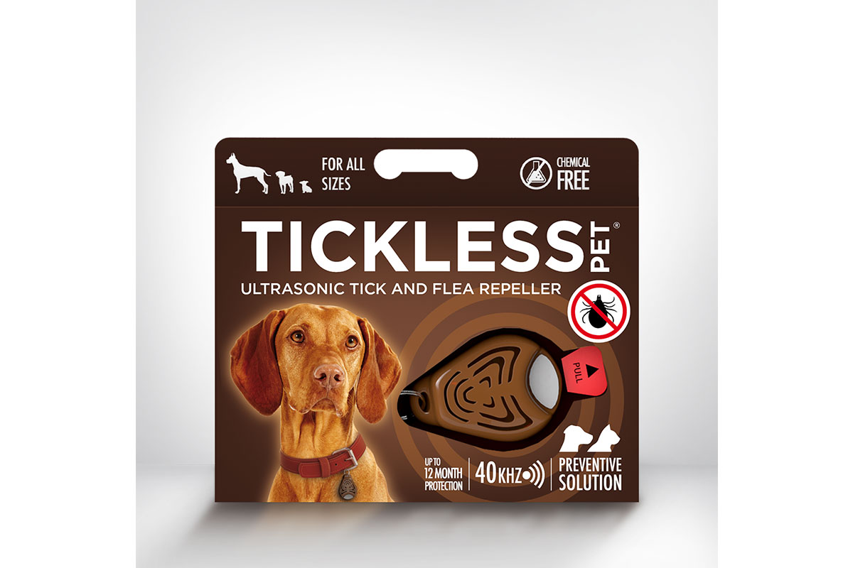 dog on tickless box