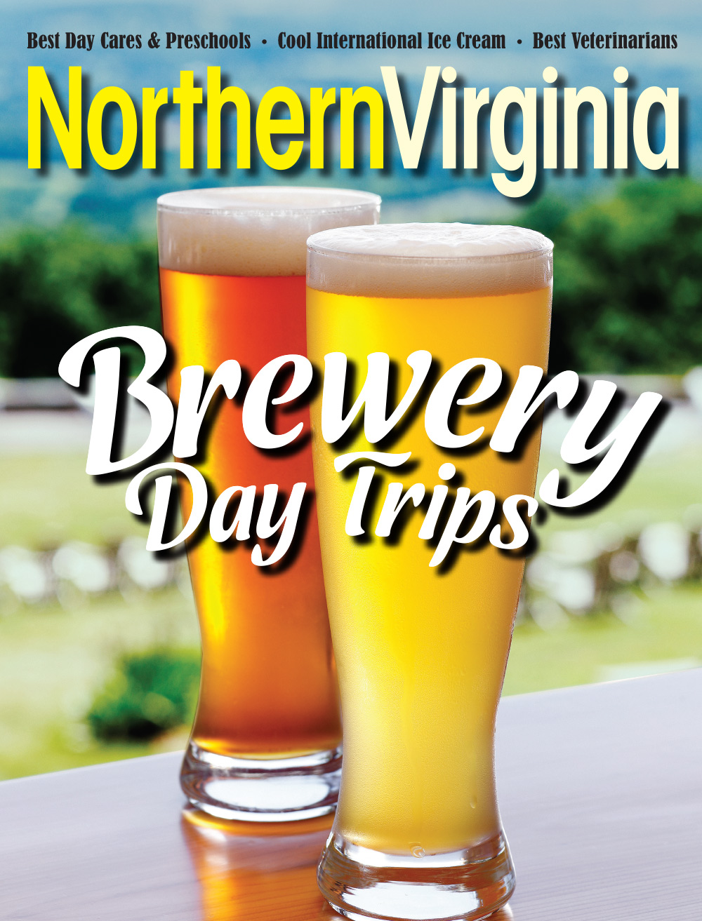 cover of northern virginia magazine august 2020 print issue