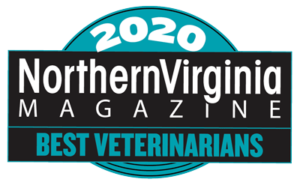 2020 Best Veterinarians Badge teal