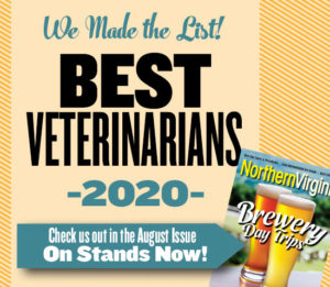 Best Veterinarians Winner Promo