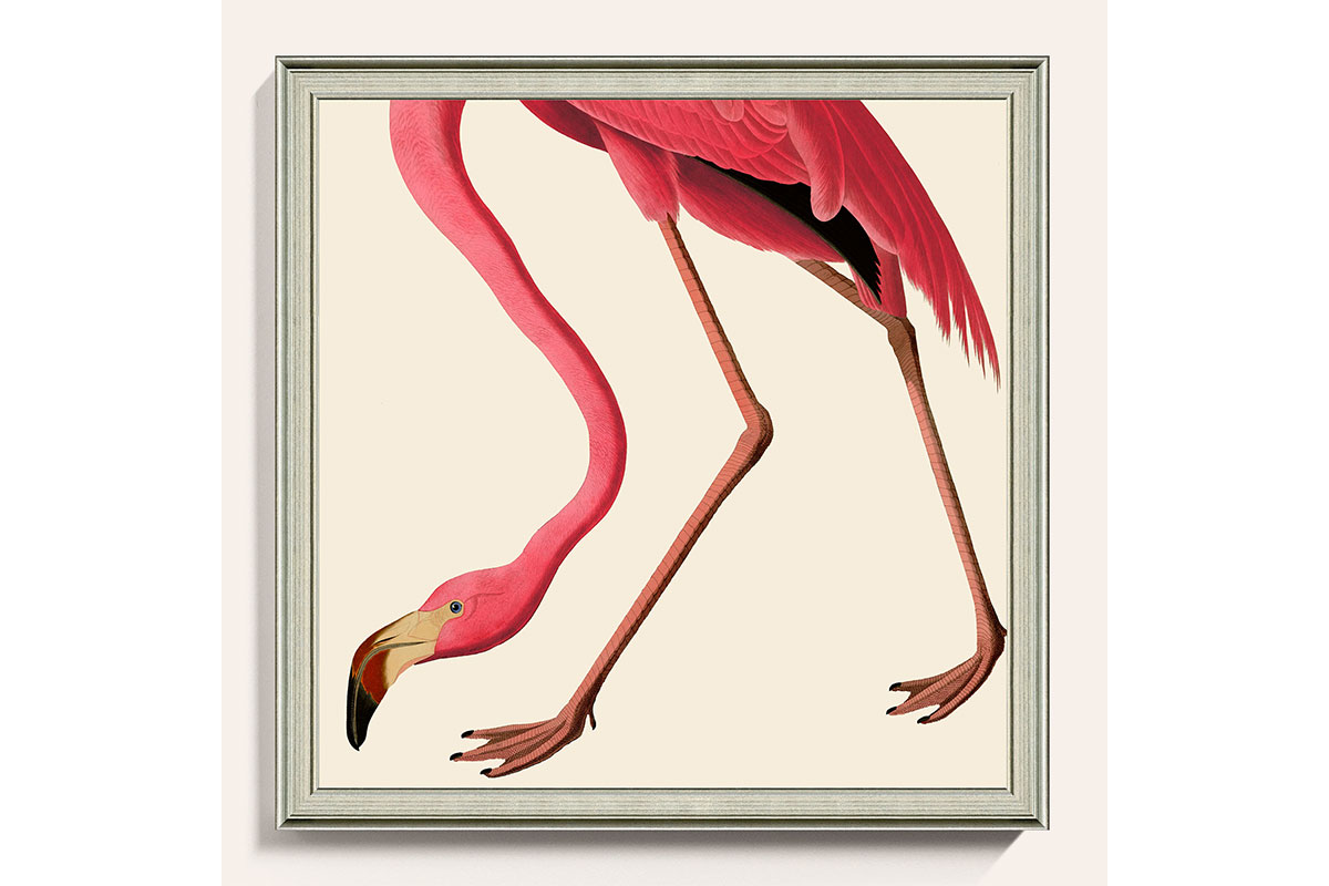 flamingo print in a frame