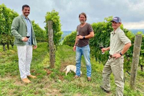 RDV vineyards