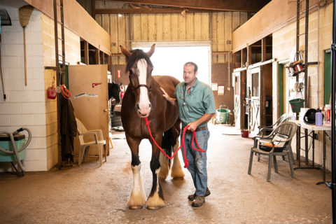veterinarian with horse