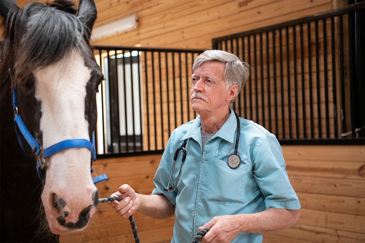 veterinarian with horse