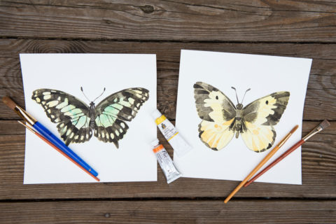 Watercolor Club