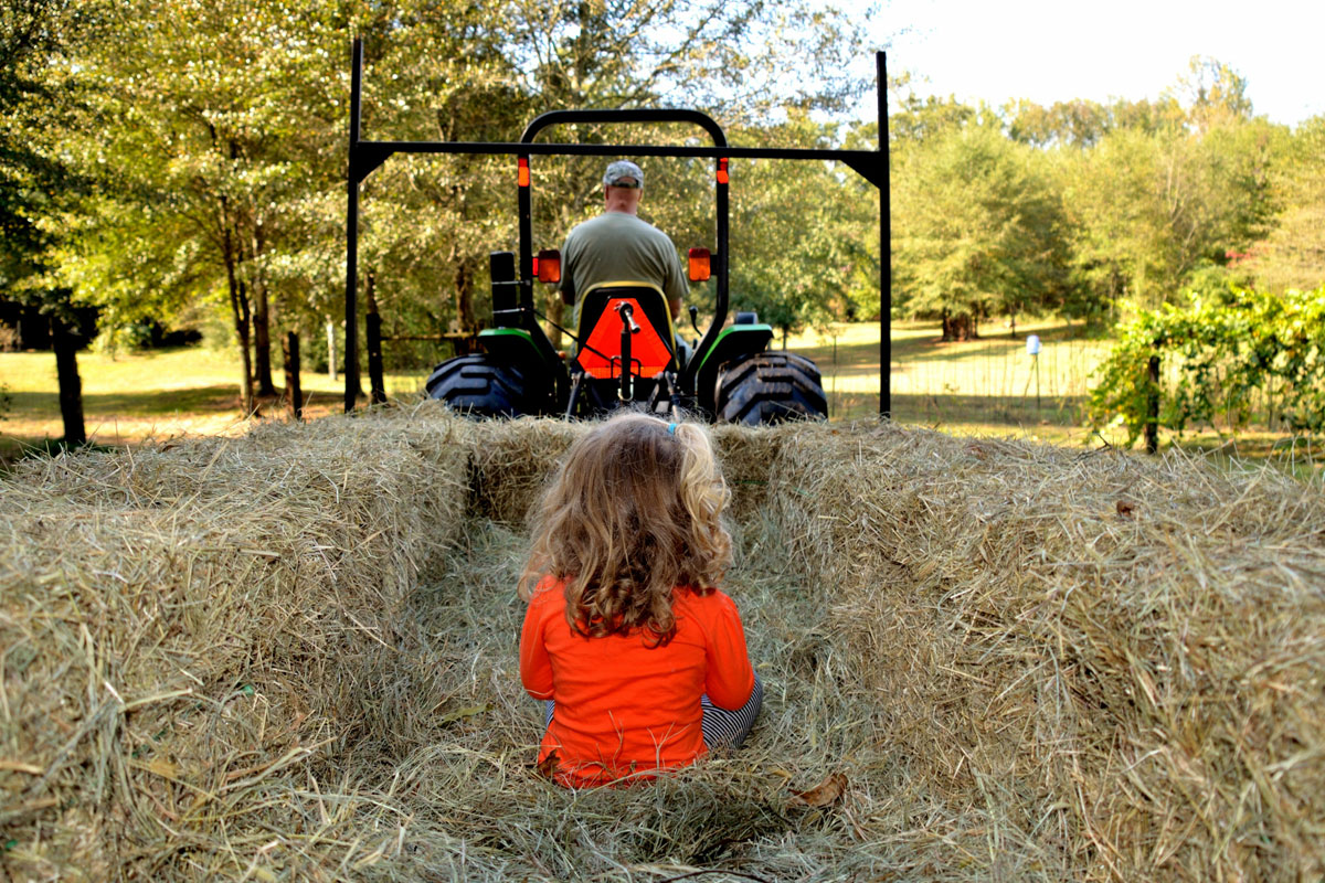 hayride