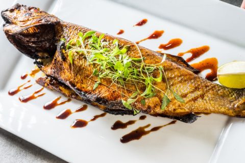 child with wheelbarrow full of pumpkins