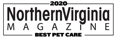 2020 best pet care badge small black