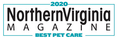2020 best pet care badge small teal