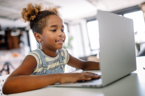 Virtual field trips