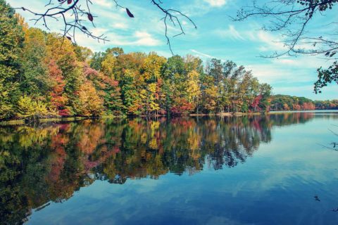 burke lake park