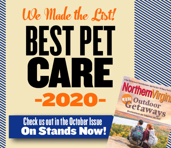2020 best pet care promo graphic