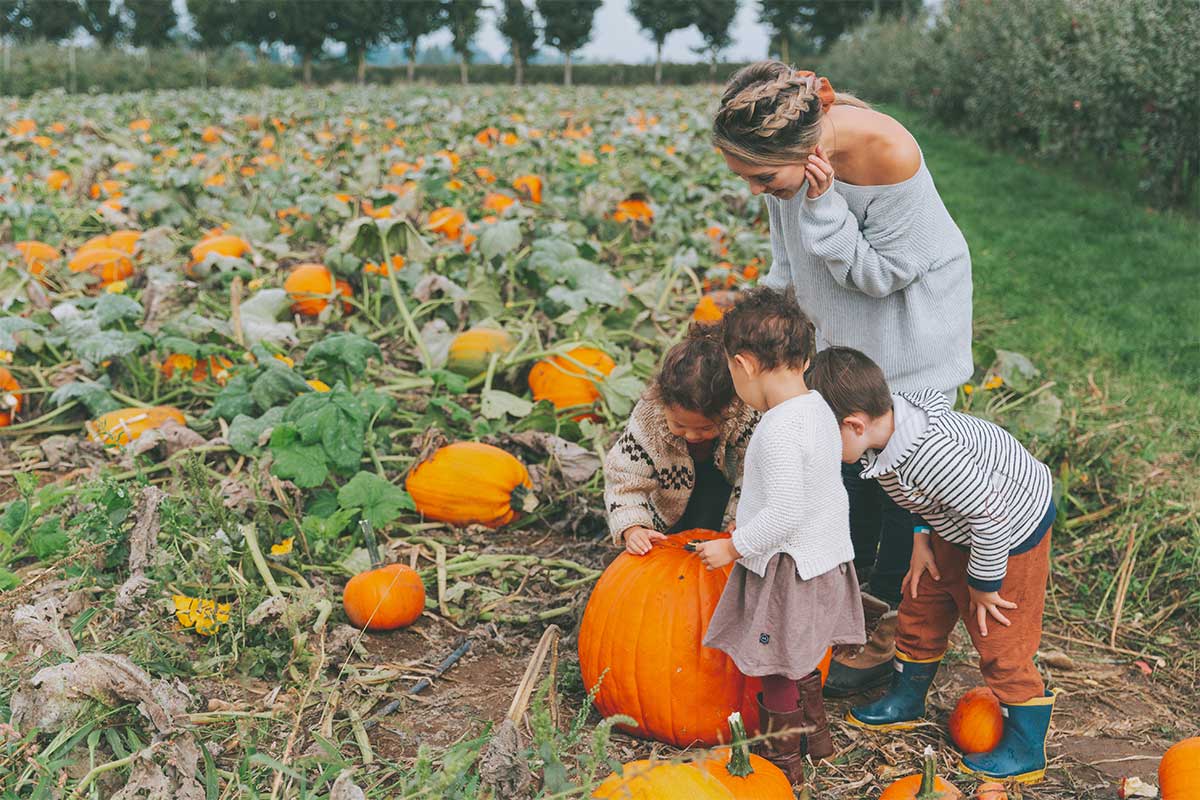 family looking at pumpkin