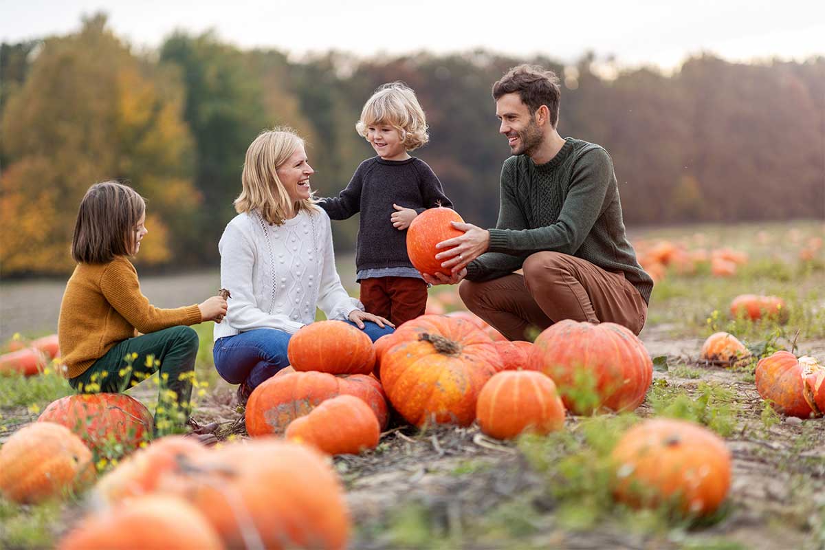 family picking pumpkins