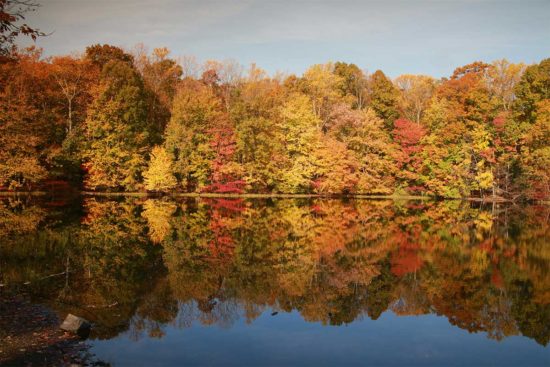 Burke lake park in fall