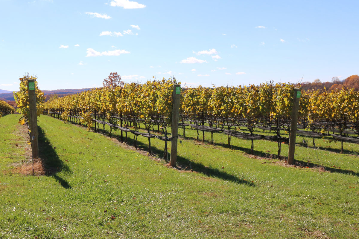 Stone Tower Winery