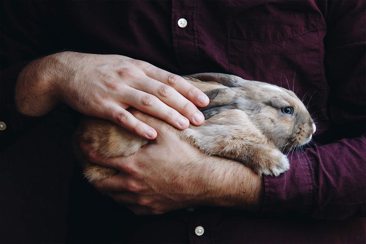 man holding rabbit