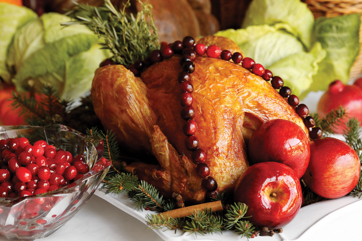 Holiday recipes turkey