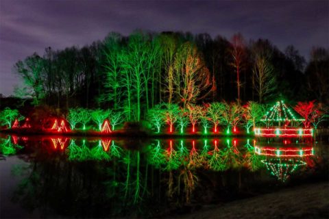 Meadowlark winter walk of lights