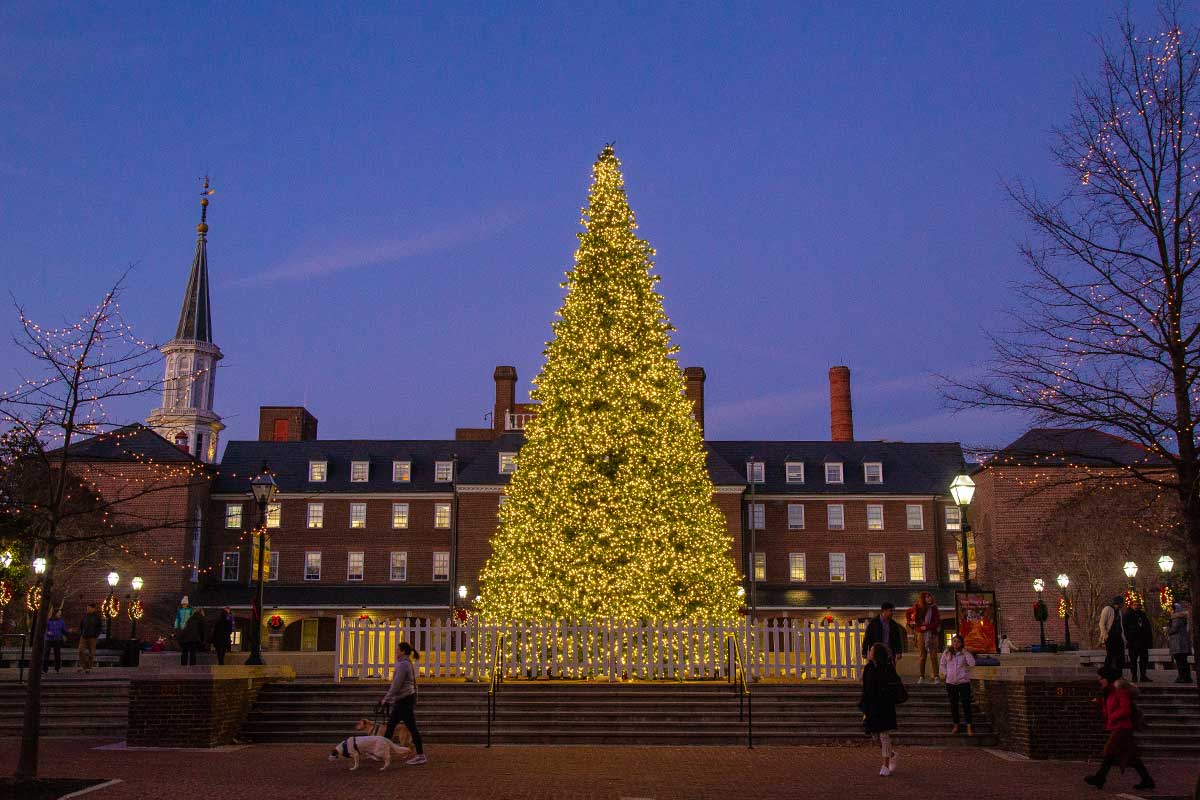 Christmas tree at Market Square