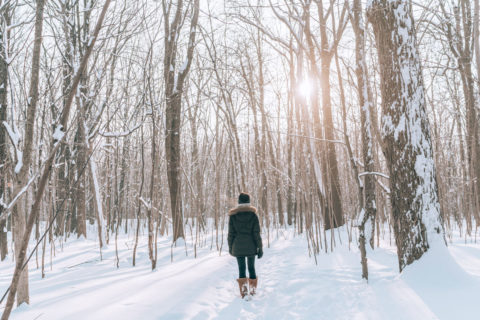Forest Bathing