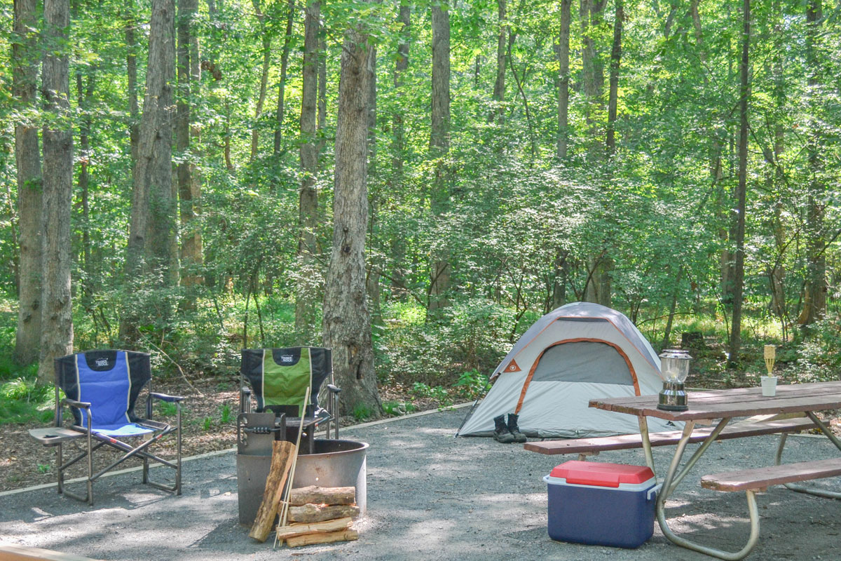 Nova parks camping