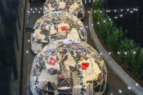 Watergate igloos