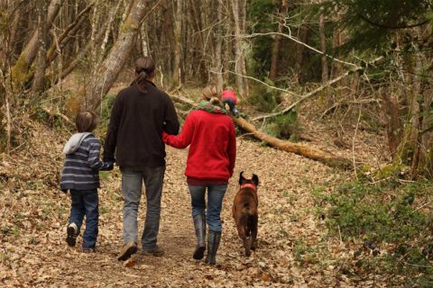family hiking through woods