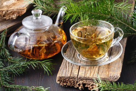 tea cup and pot with tree branches
