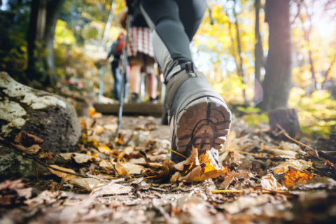 10,000 steps hiking