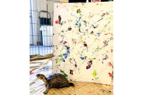 Blue Ridge Wildlife Center animal painting