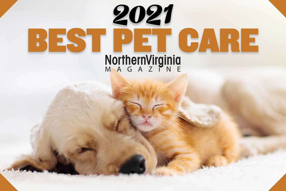 puppy and cat sleeping