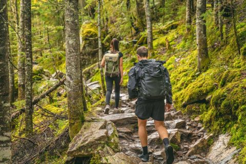 National Park service fee free days