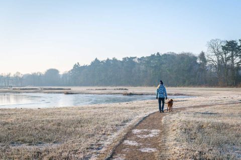 woman walking dog during winter