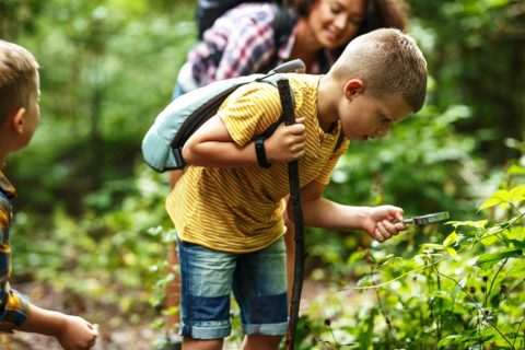 boy looking at plant