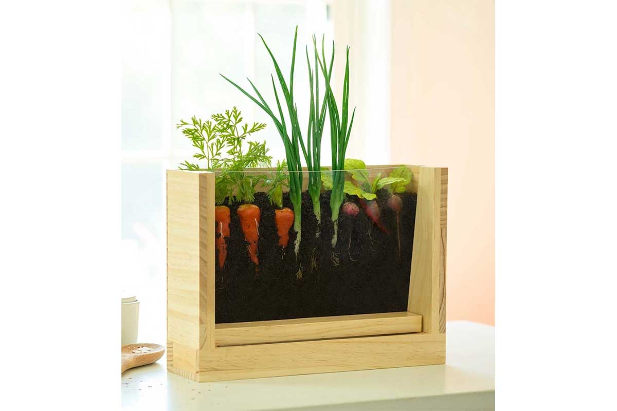 root viewer