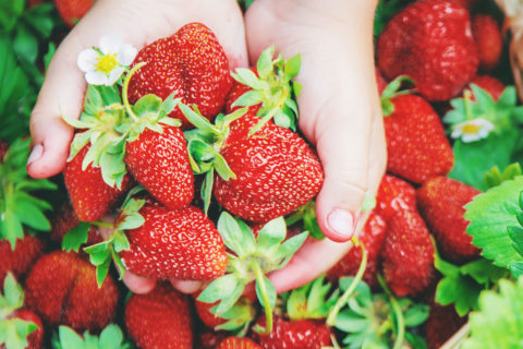 strawberries