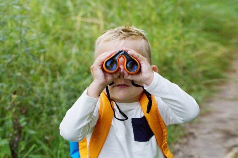 child bird watching