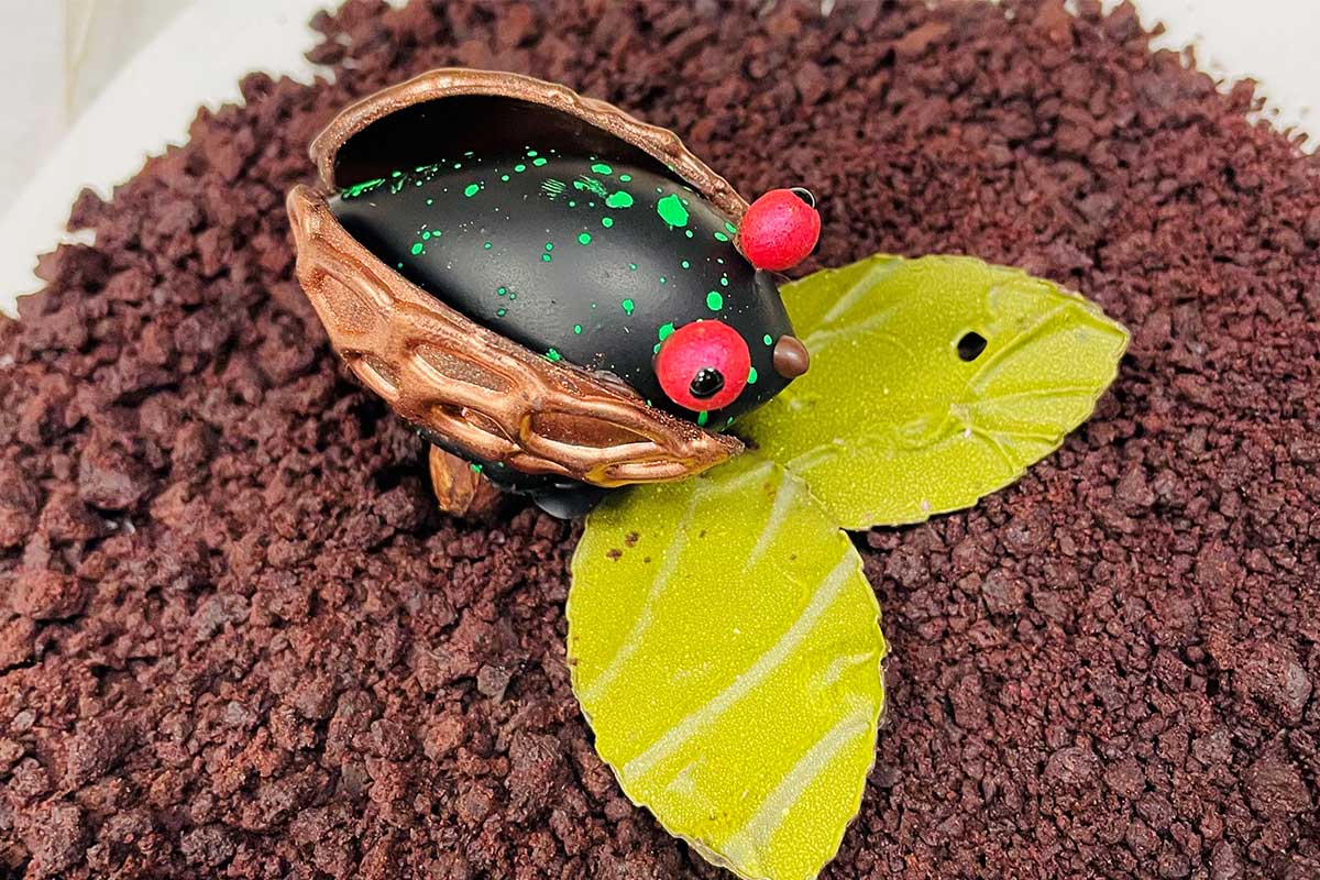 cicada shaped dessert