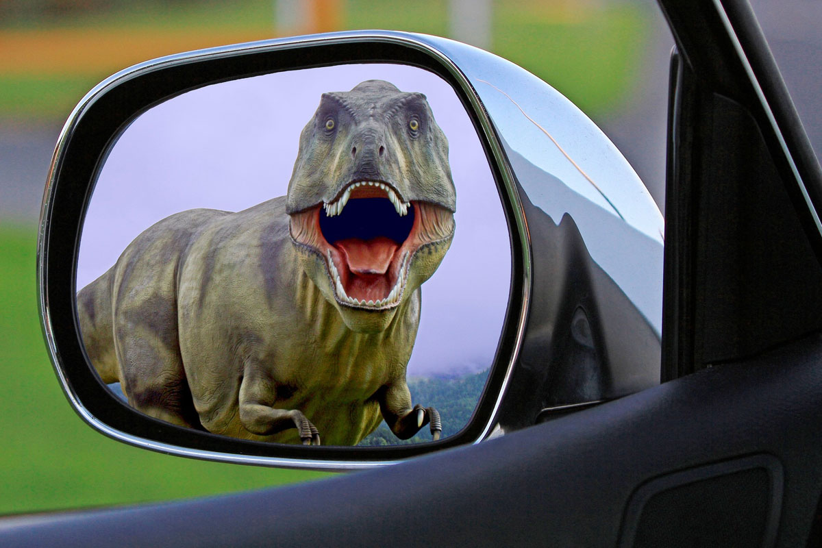 dinosaur in mirror