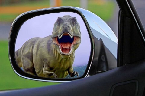 dinosaur in car window