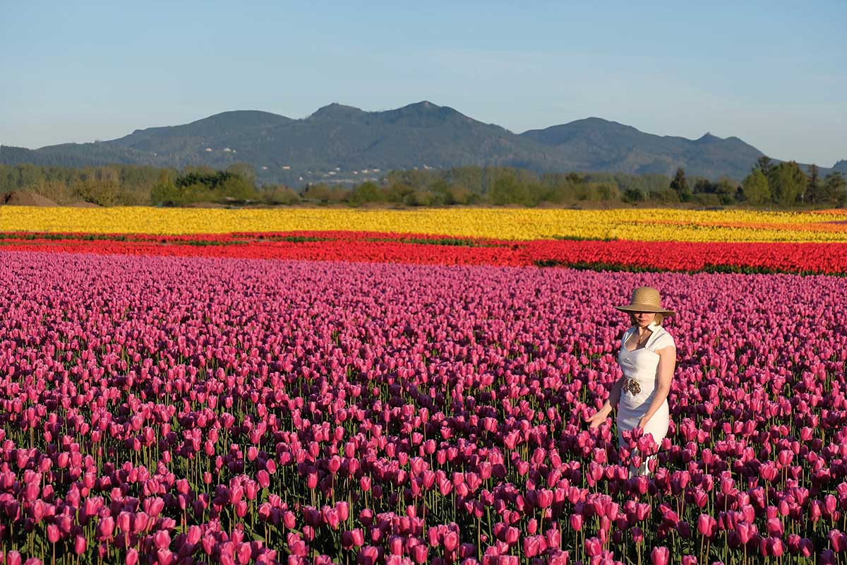 woman in tulip field